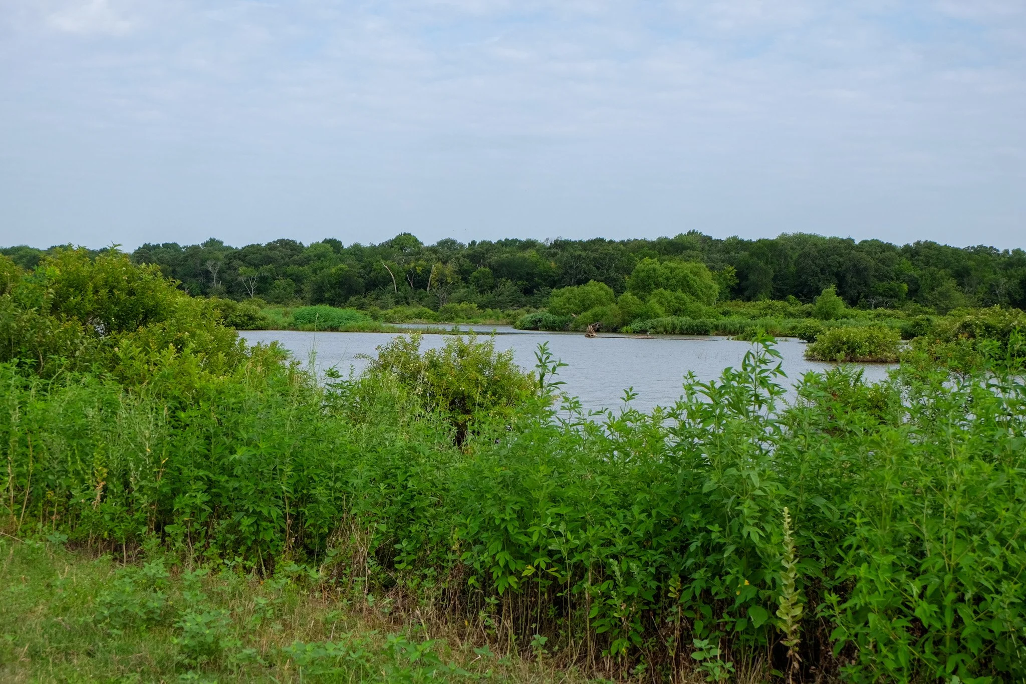 A natural landscape with a river, green trees, and bushes under a cloudy sky.