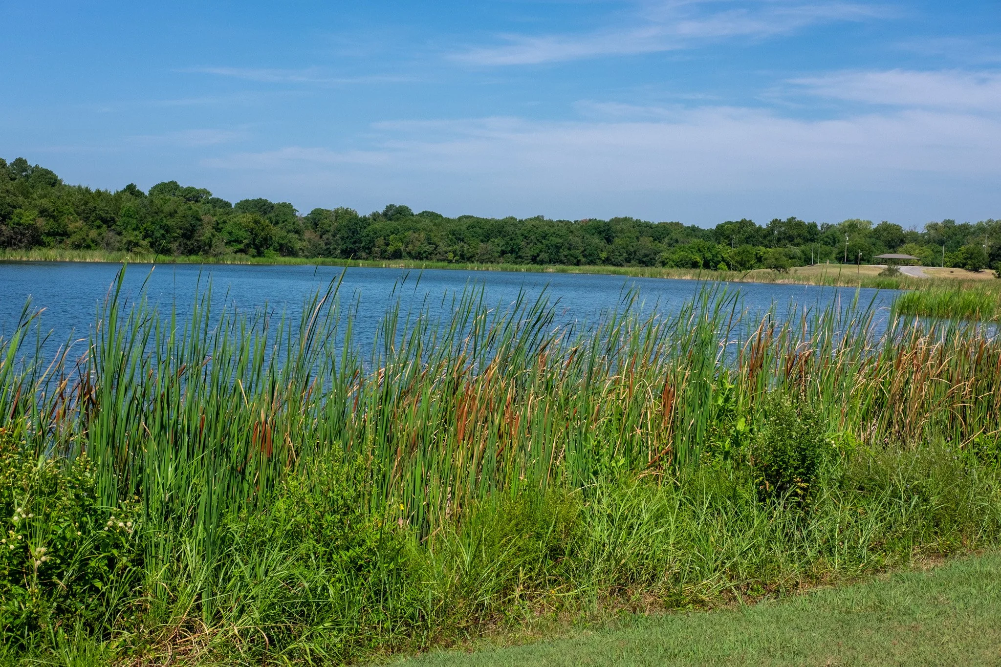 Loy Lake Park