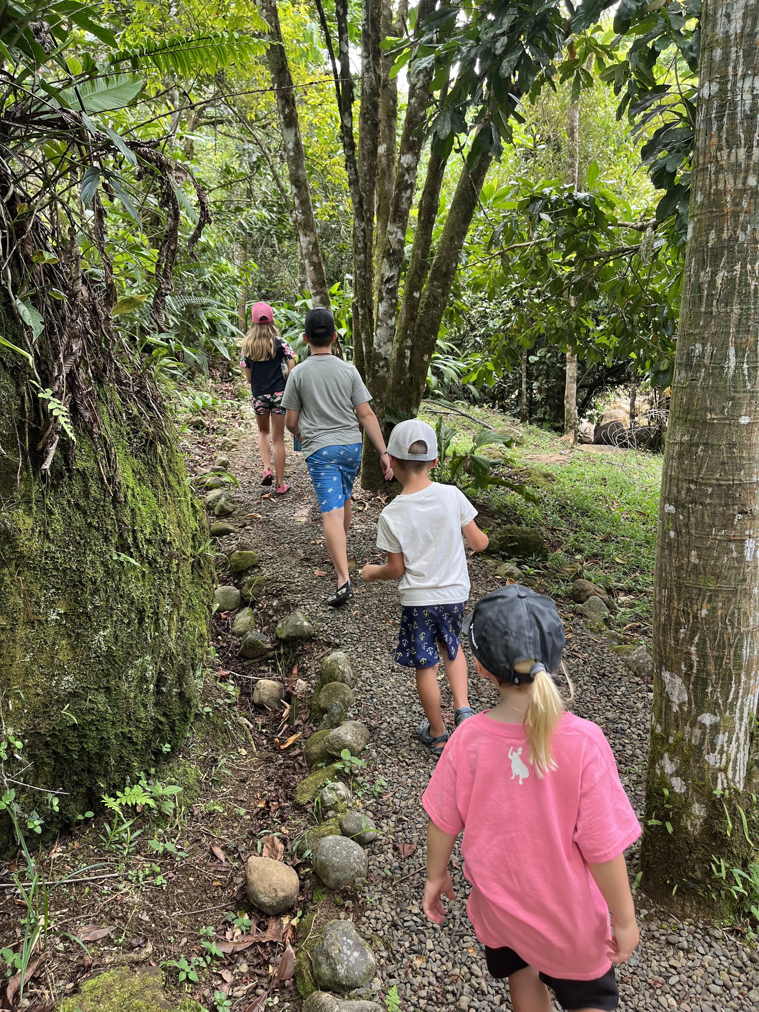 Children walking along a narrow, rocky trail in a lush green jungle or forest.