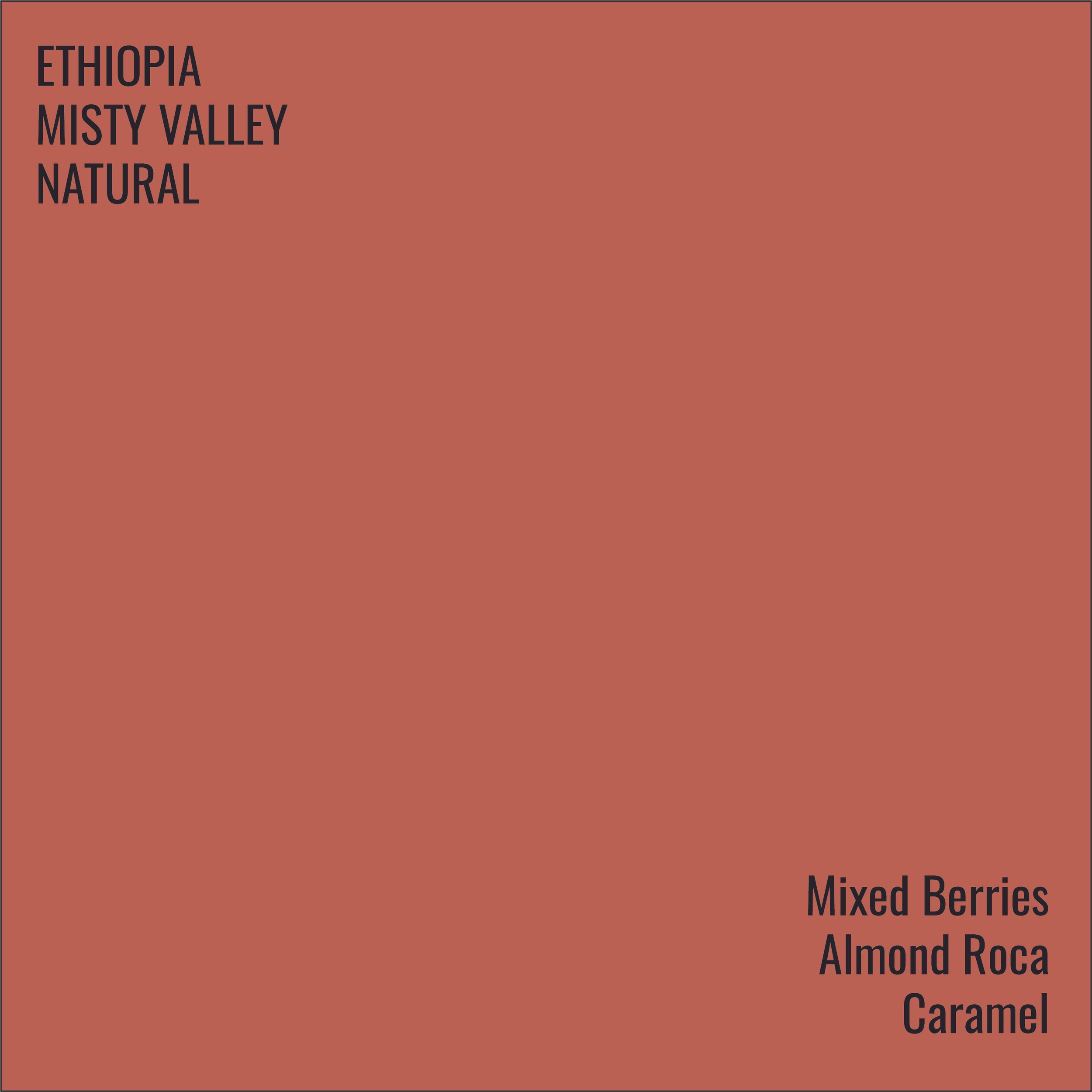 Ethiopia Misty Valley Natural