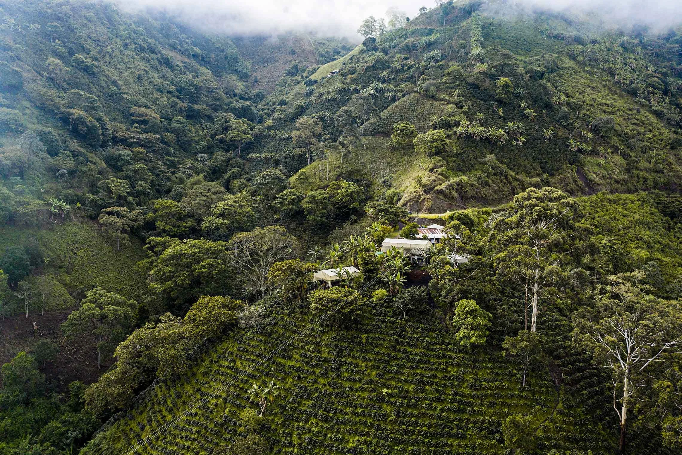 Bellwether_Planadas-0653 Colombia Drone Photo.jpg