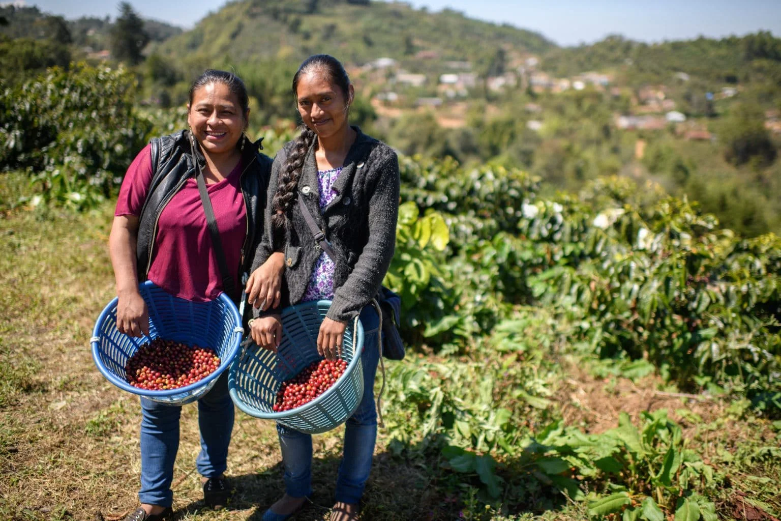 Magia Del Campo Harvesters.jpg
