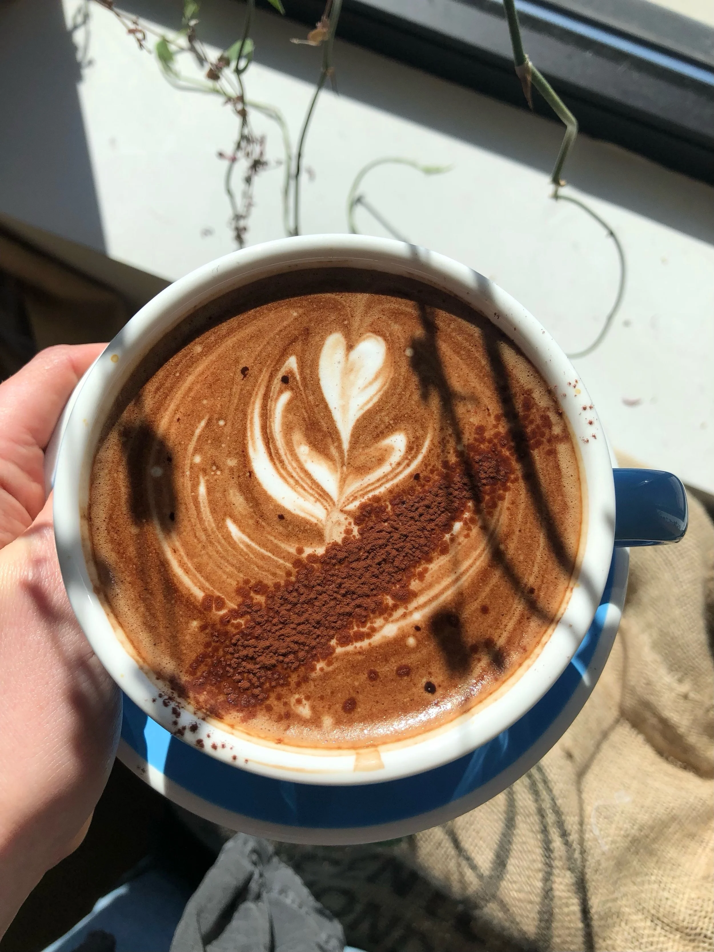 A hand holding a mocha latte with a heart-shaped art on top, sitting on a table near a window with a plant and shadow.