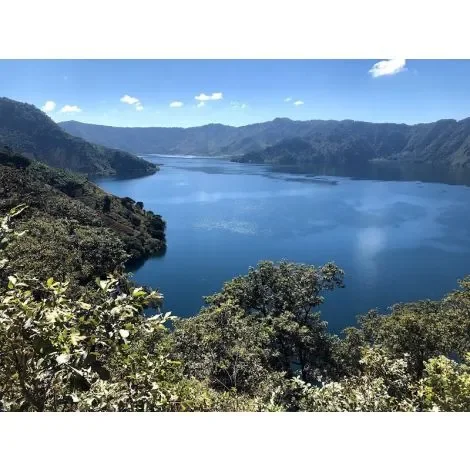 Blue Ayarza.webp