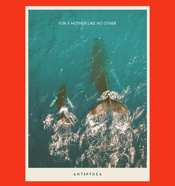 Two whales swimming near the ocean surface, viewed from above, with water splashing around them, and text that reads 'For a mother like no other' and 'Antipodea'.