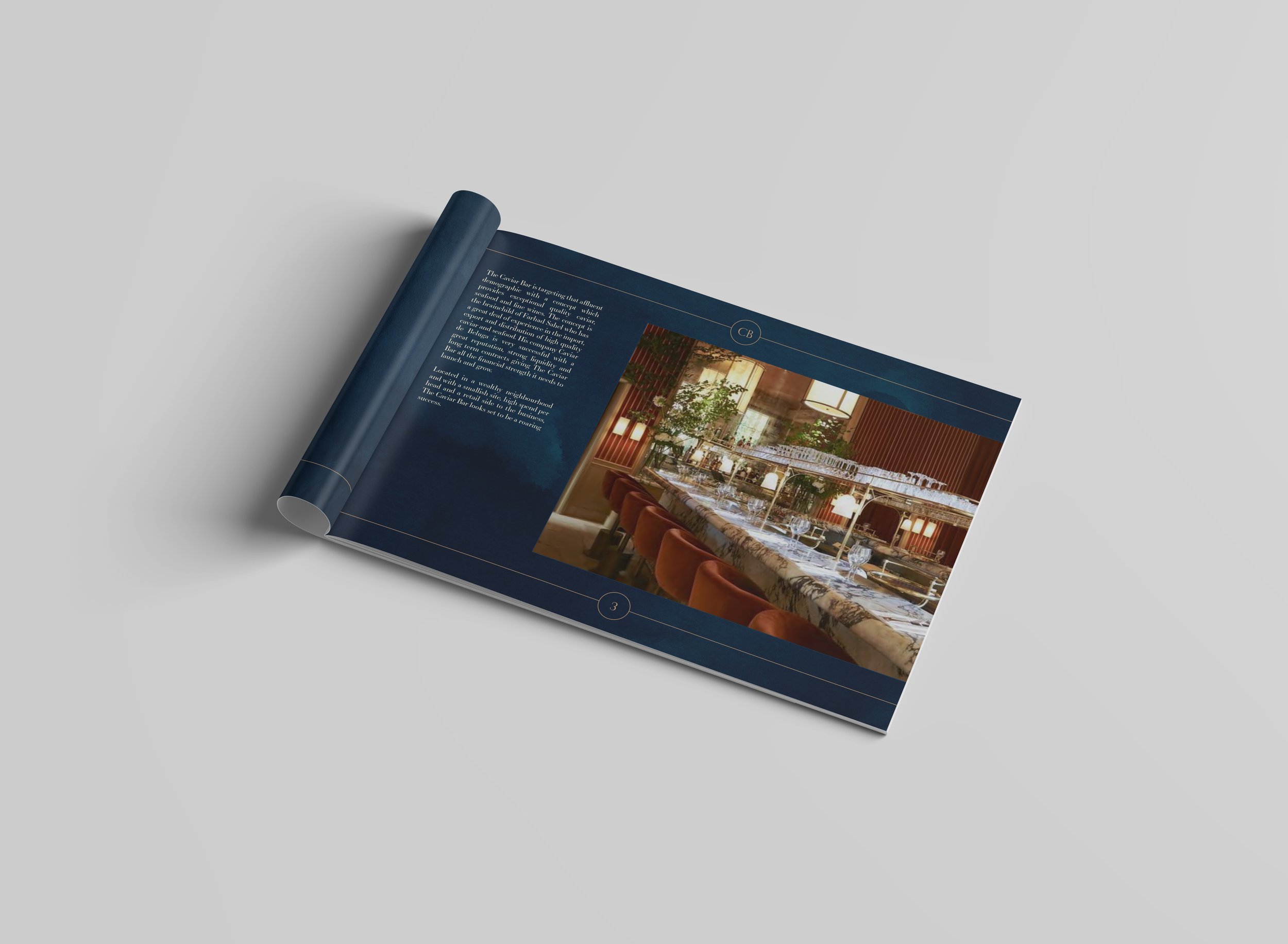 CaviarBar-Landlordpack copy.jpg