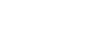 Thai Express logo with a stylized flower icon above the text