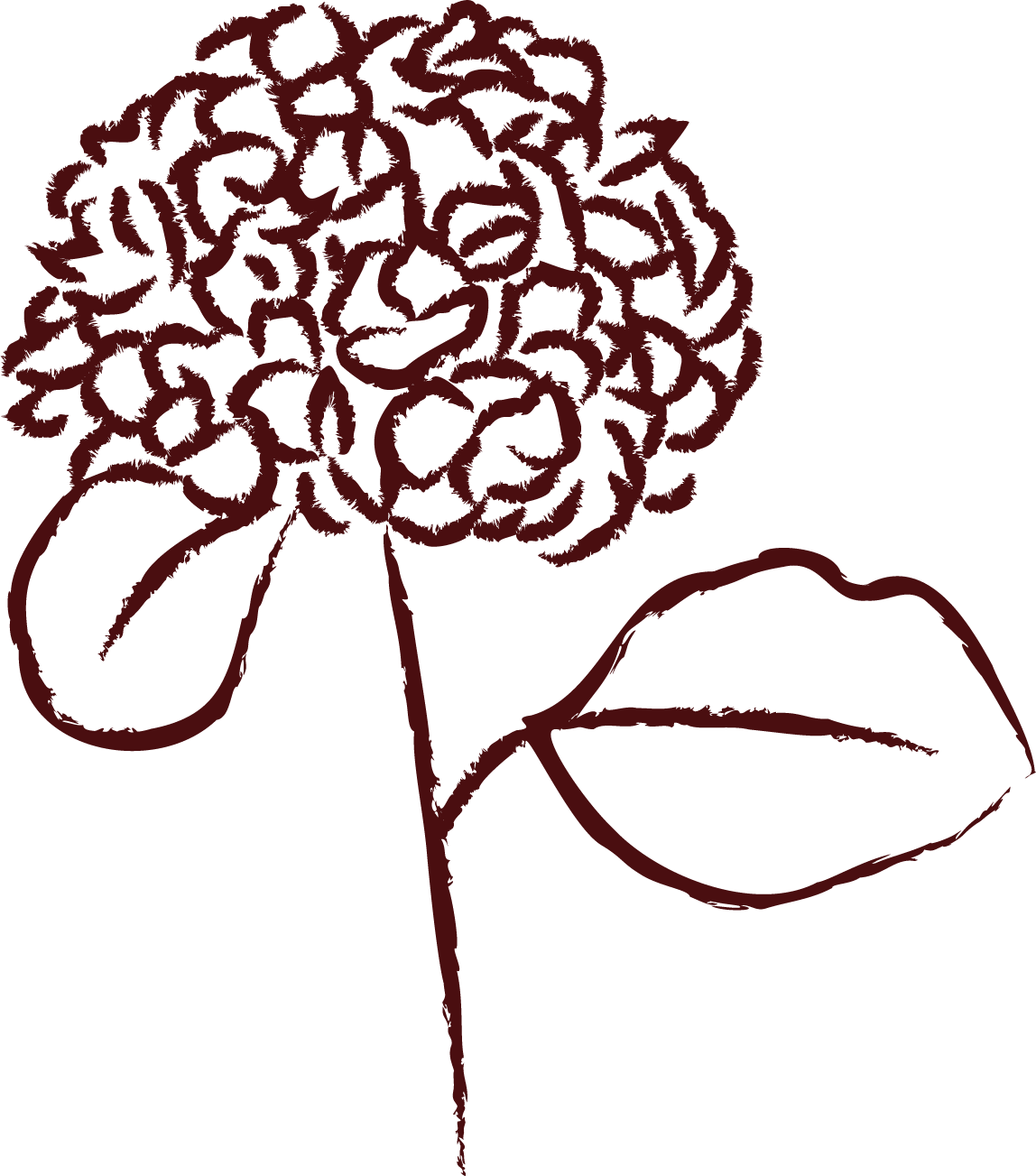 Desenho de uma flor com pétalas detalhadas, com uma única folha ligada ao caule