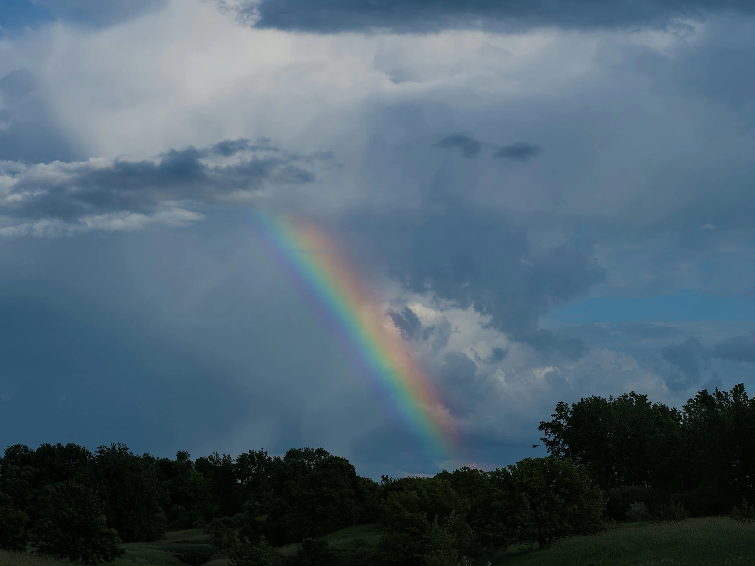 Trauma therapy using mind-body approaches to support nervous system regulation and emotional healing.