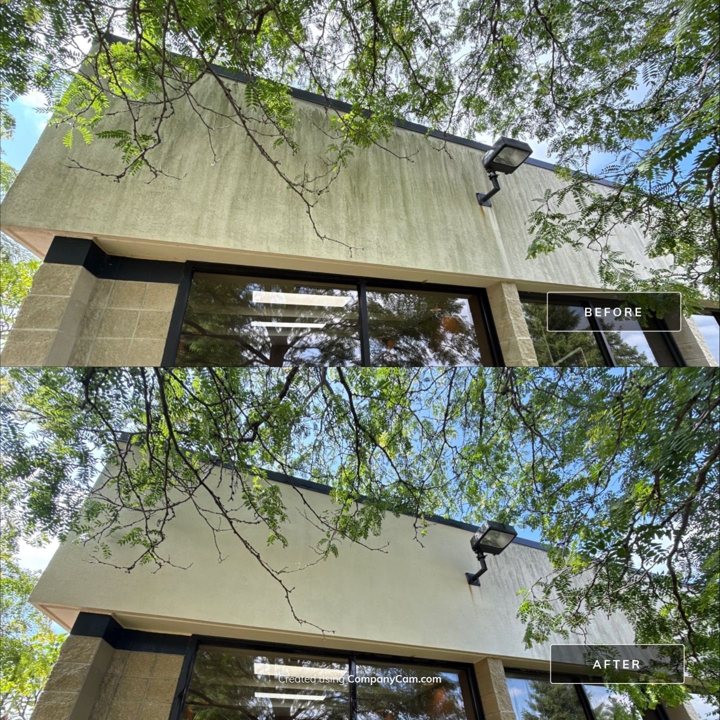 Before and after comparison of a building's exterior wall and window, with trees surrounding it, showing cleaning or renovation work.