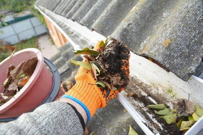 Hand in an orange work glove holding a plant root with soil, removing it from a gutter on a roof.