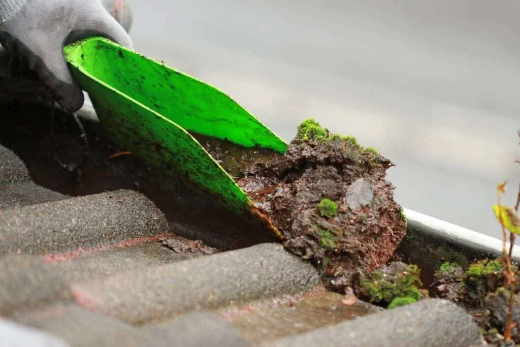 A person wearing a gray glove using a small green garden rake to remove soil and dirt from a brick surface.