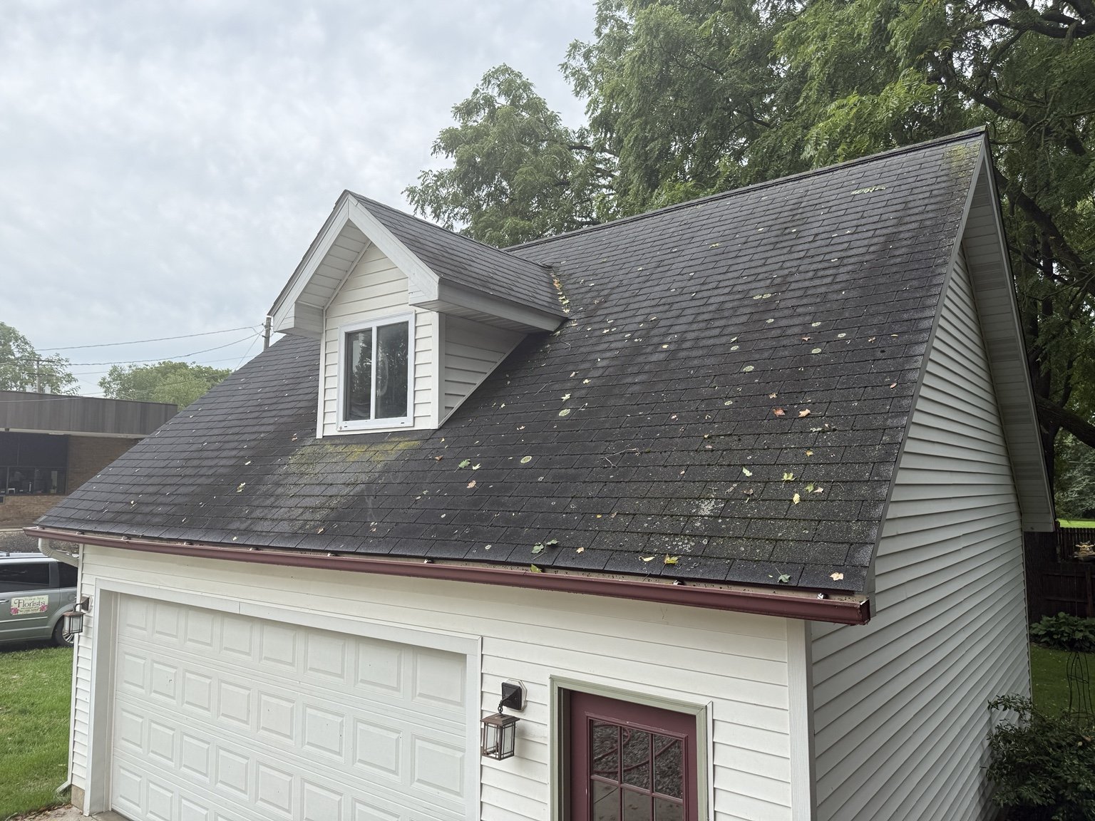 Asphalt shingle roof with visible algae and organic growth before cleaning