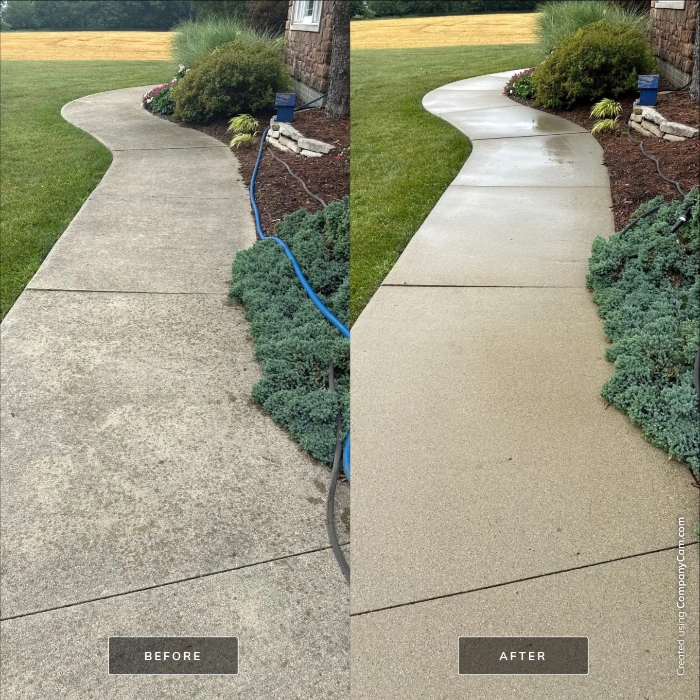 Side-by-side comparison of a concrete sidewalk before and after cleaning. The left side shows a weathered, stained concrete surface, and the right side displays a freshly cleaned, brighter surface.