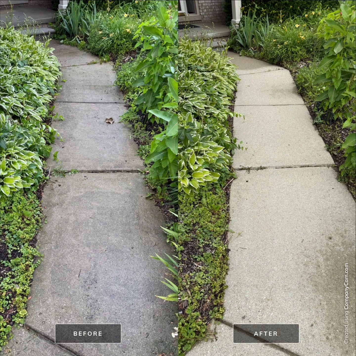 Comparison of a sidewalk before and after cleaning. The left side shows a dirty, stained sidewalk, while the right side shows a clean, light-colored sidewalk.