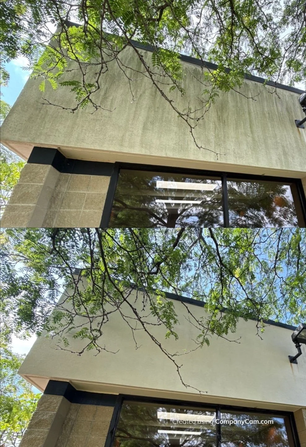 View of a modern building with a beige exterior wall, large window reflecting trees, and a black trim detail at the corner, with green tree branches and leaves overhead against a partly cloudy sky.