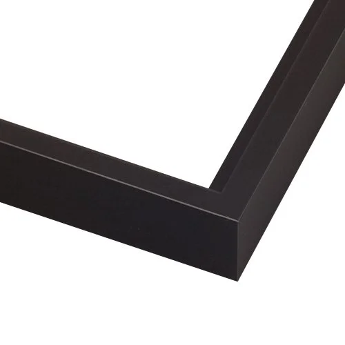 floater frame satin black.jpg