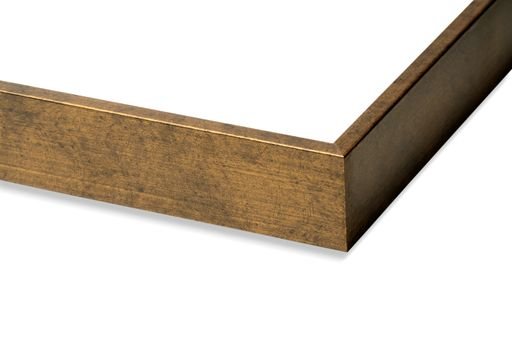 floating frame bronze.jpg