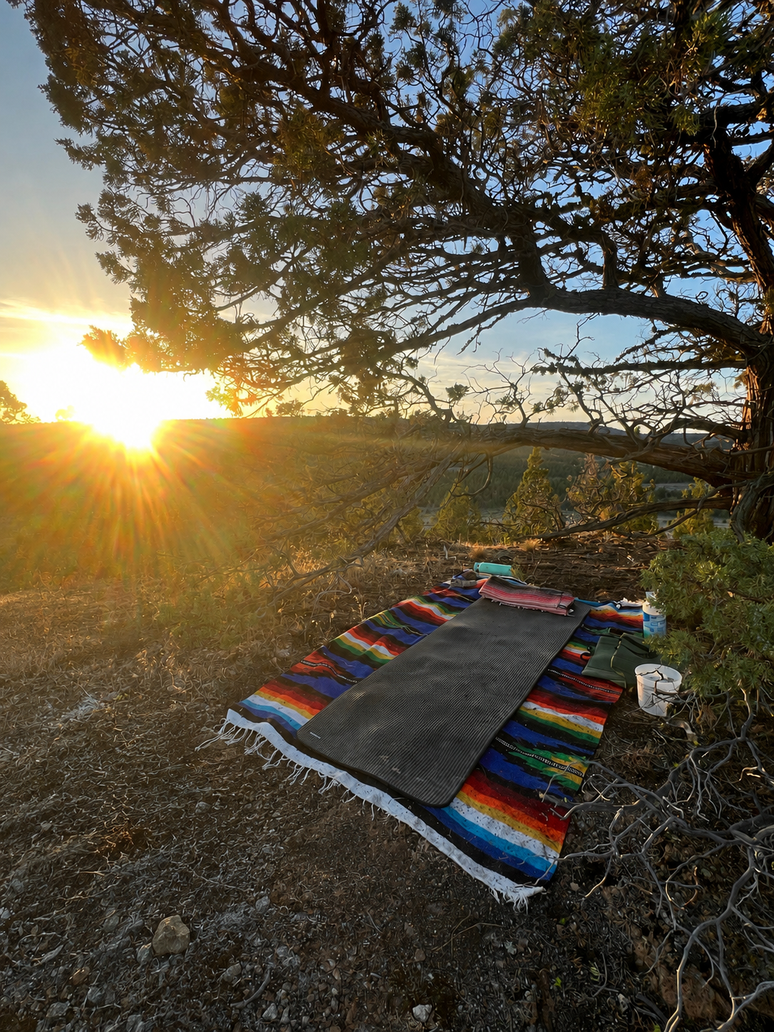 Sunset over a natural landscape with a tree and a colorful blanket on the ground, along with yoga accessories.