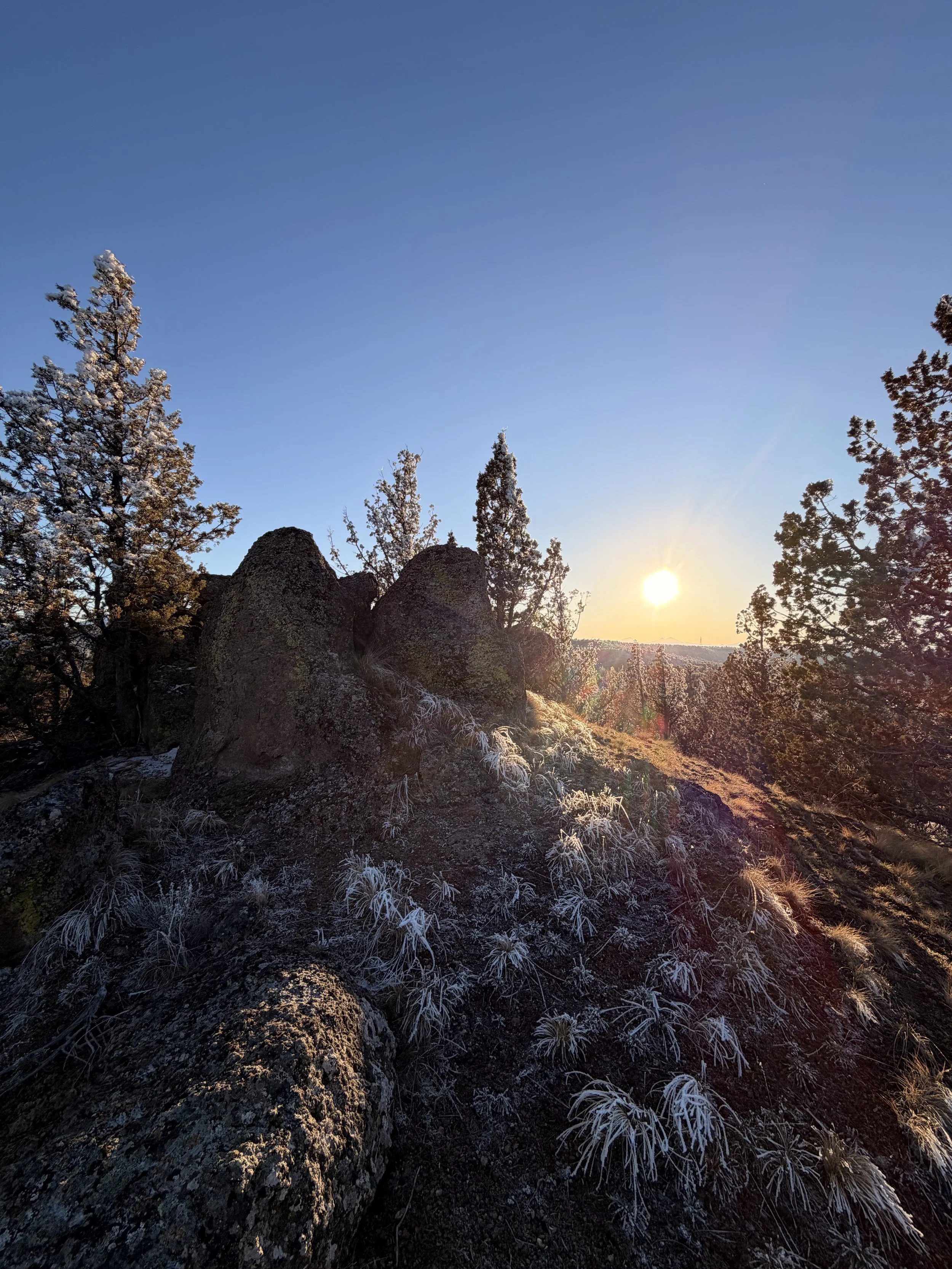 Sunset over rocky hillside with trees and dry grasses.