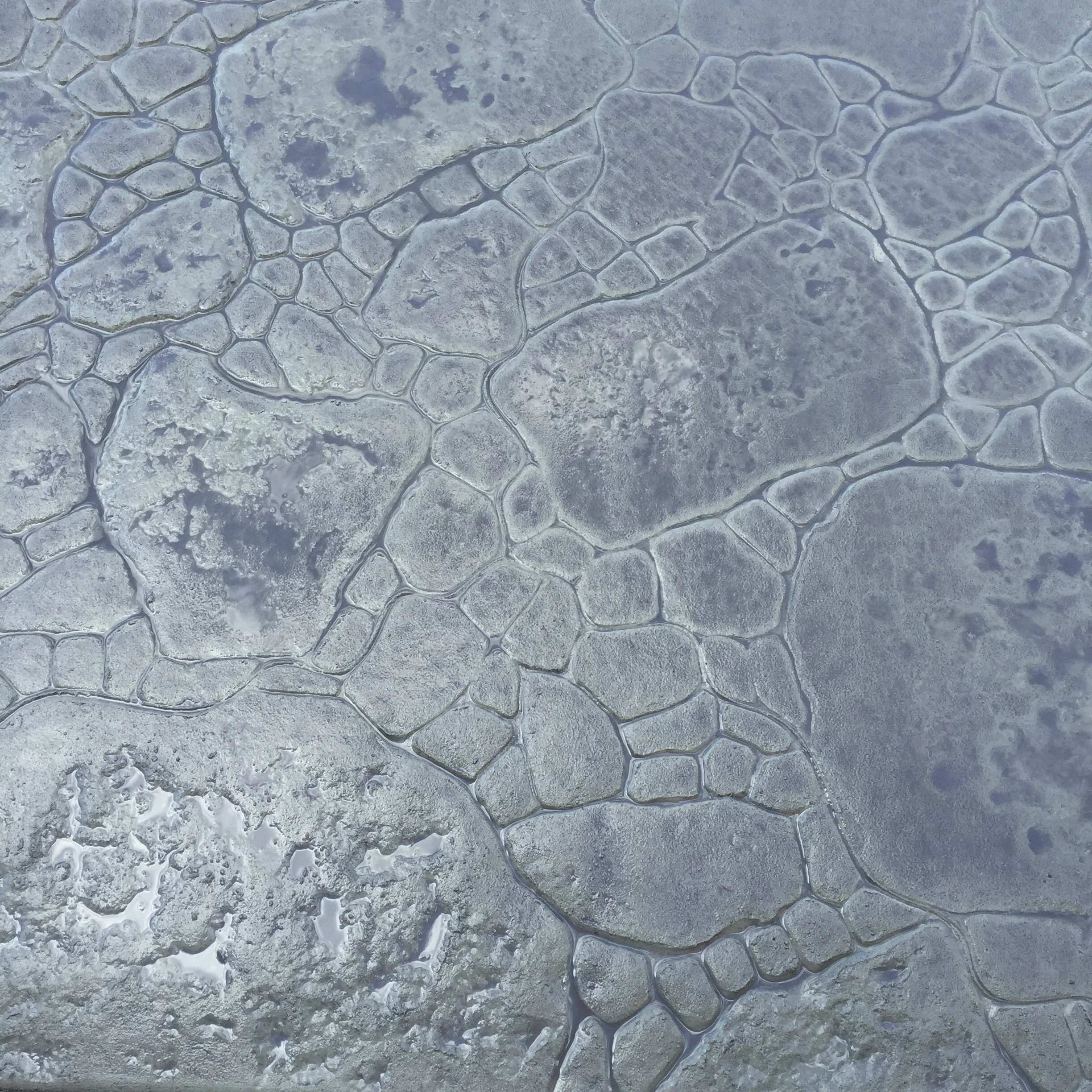 Close-up of a stone or concrete surface with irregularly shaped cracks and patterns, resembling a tiled or paved area.