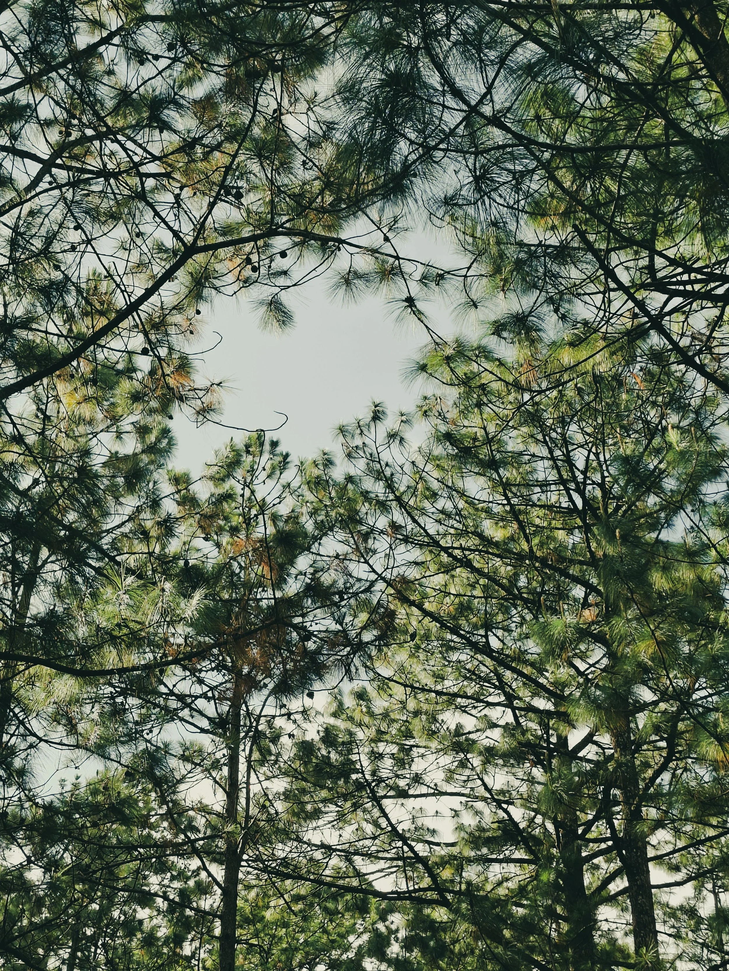 you’re not just “like that”: Understanding Survival Responses