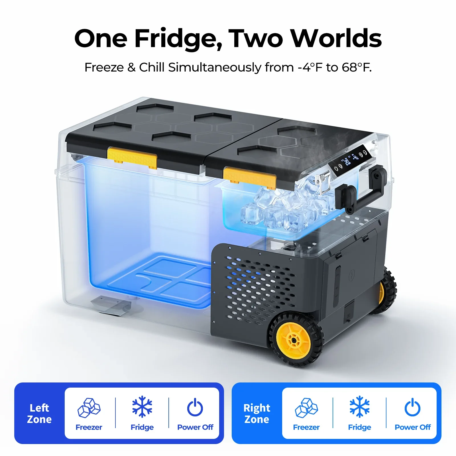 CRDX2-B1-01.webp
