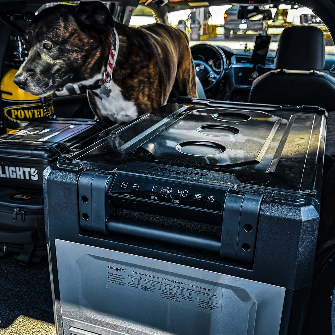 BougeRV Rocky 52L fridge in a vehicle interior with dog and gear
