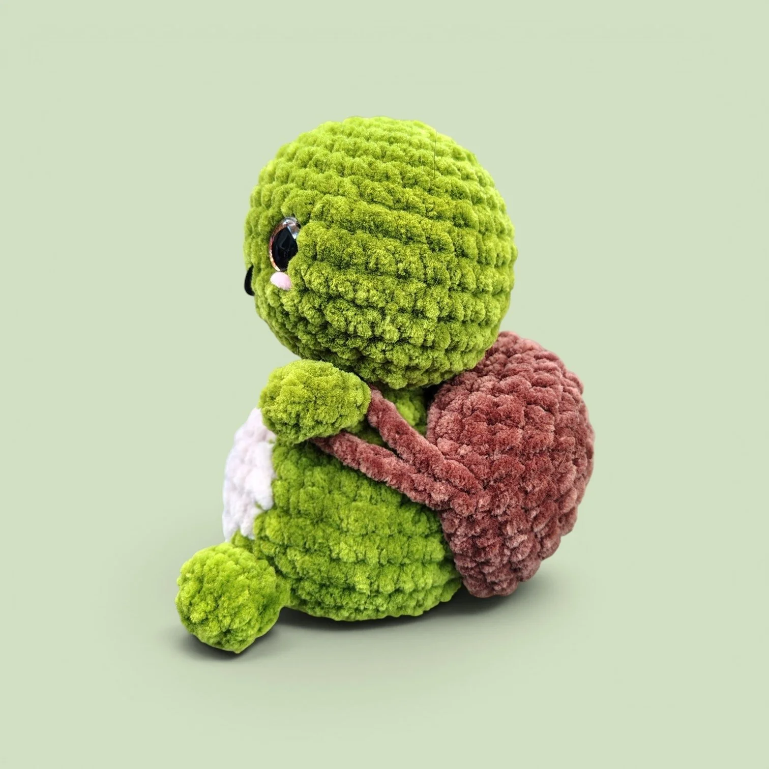 turtle 2.jpg