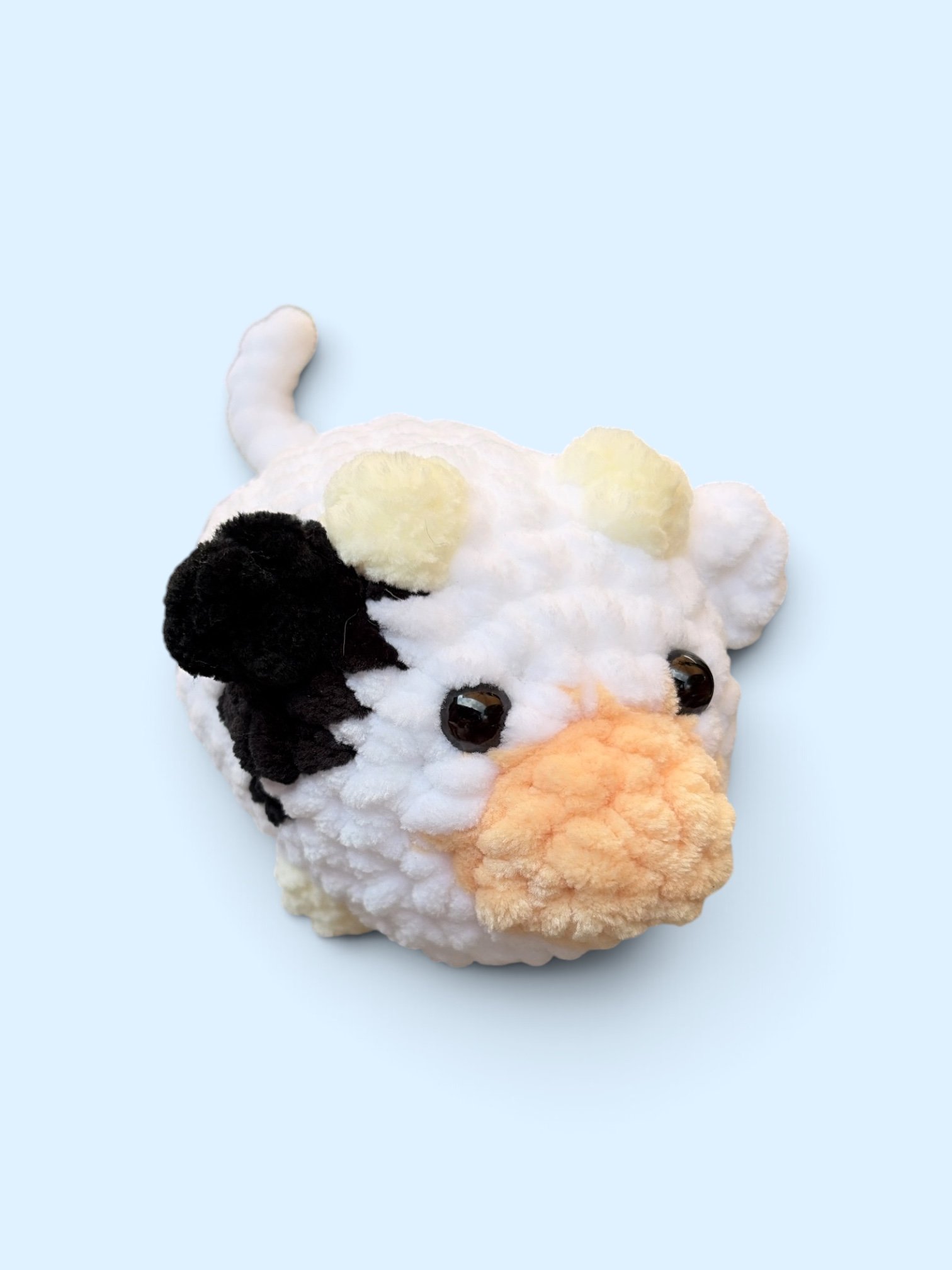 Holstein Cow