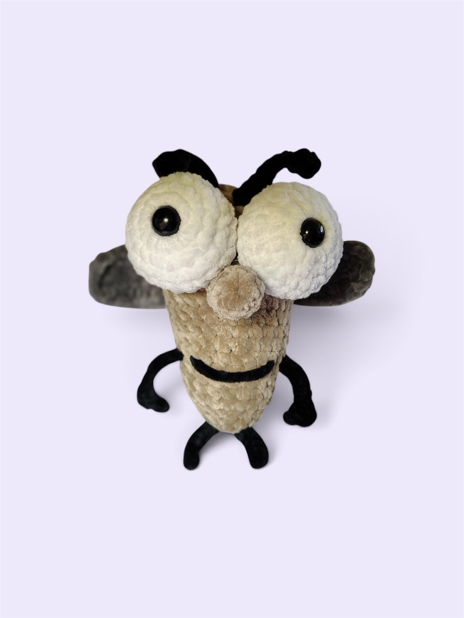Bug Boy