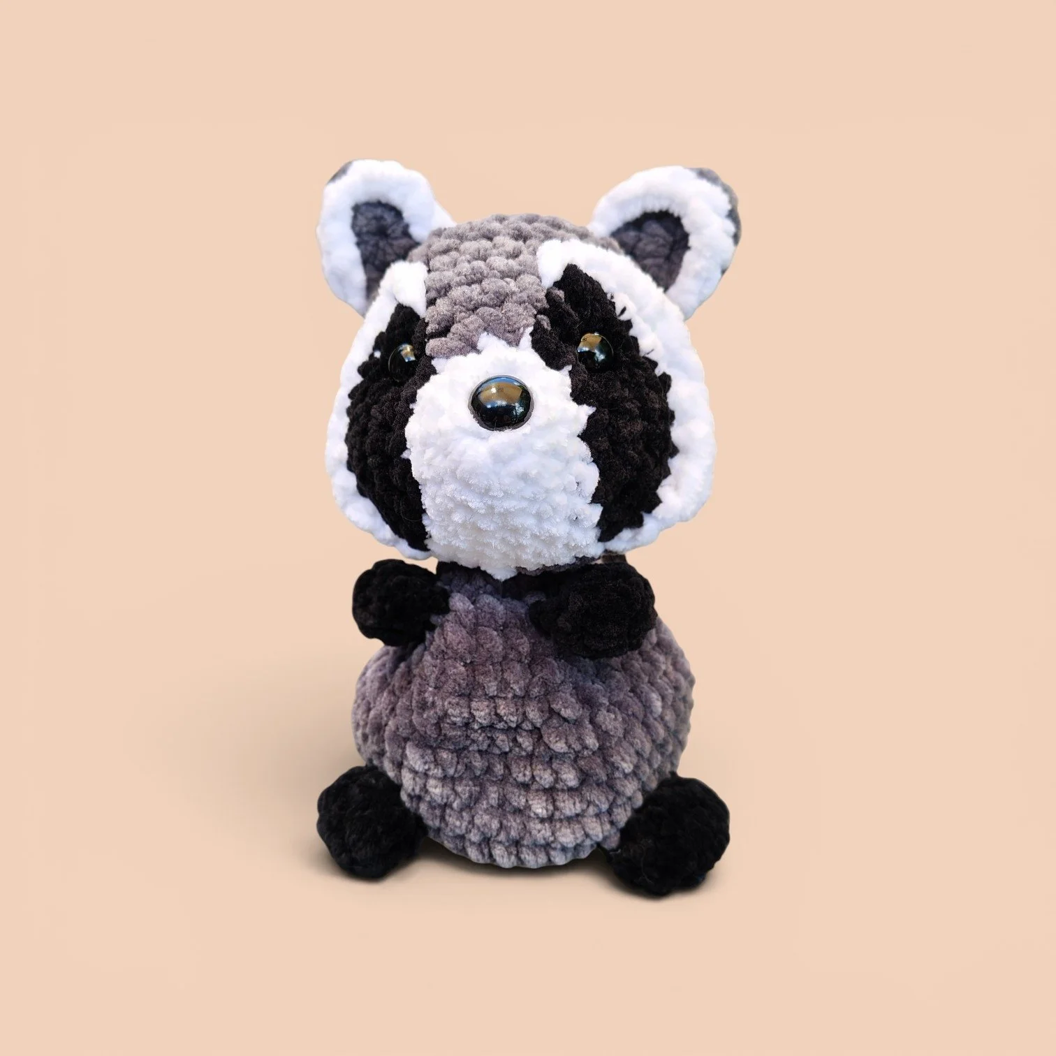 raccoon 1.jpg