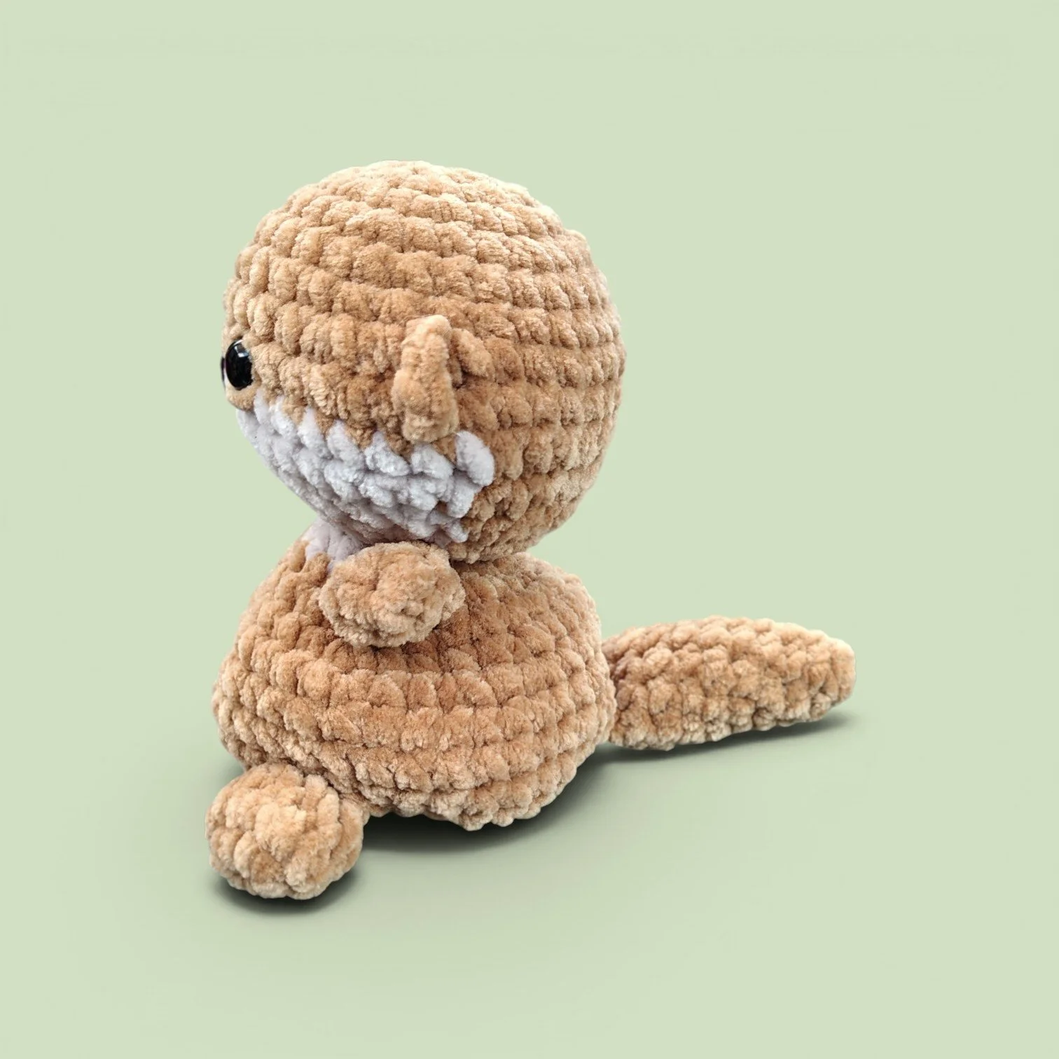otter 2.jpg