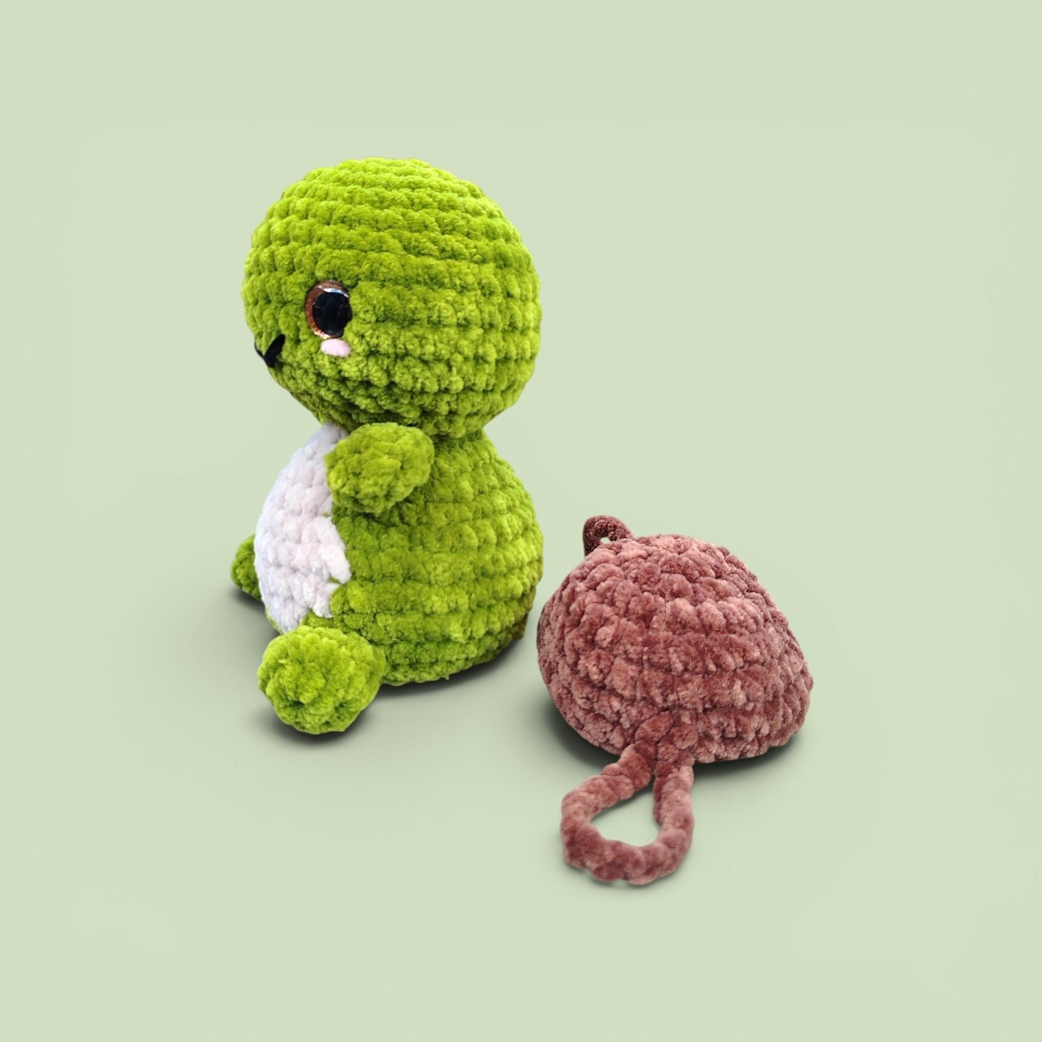 turtle 3.jpg