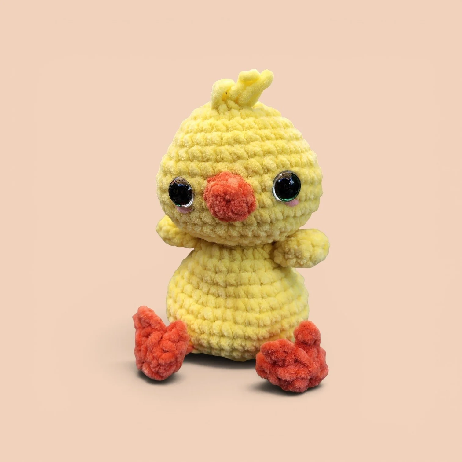 Duck 1.jpg