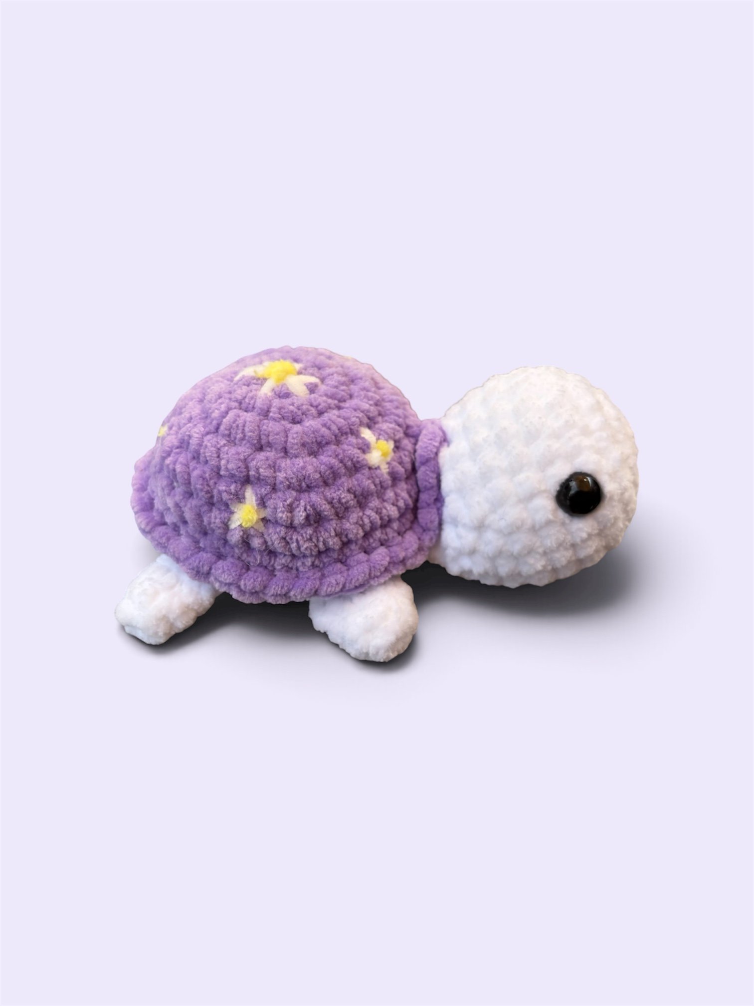 Daisy Delight Turtle