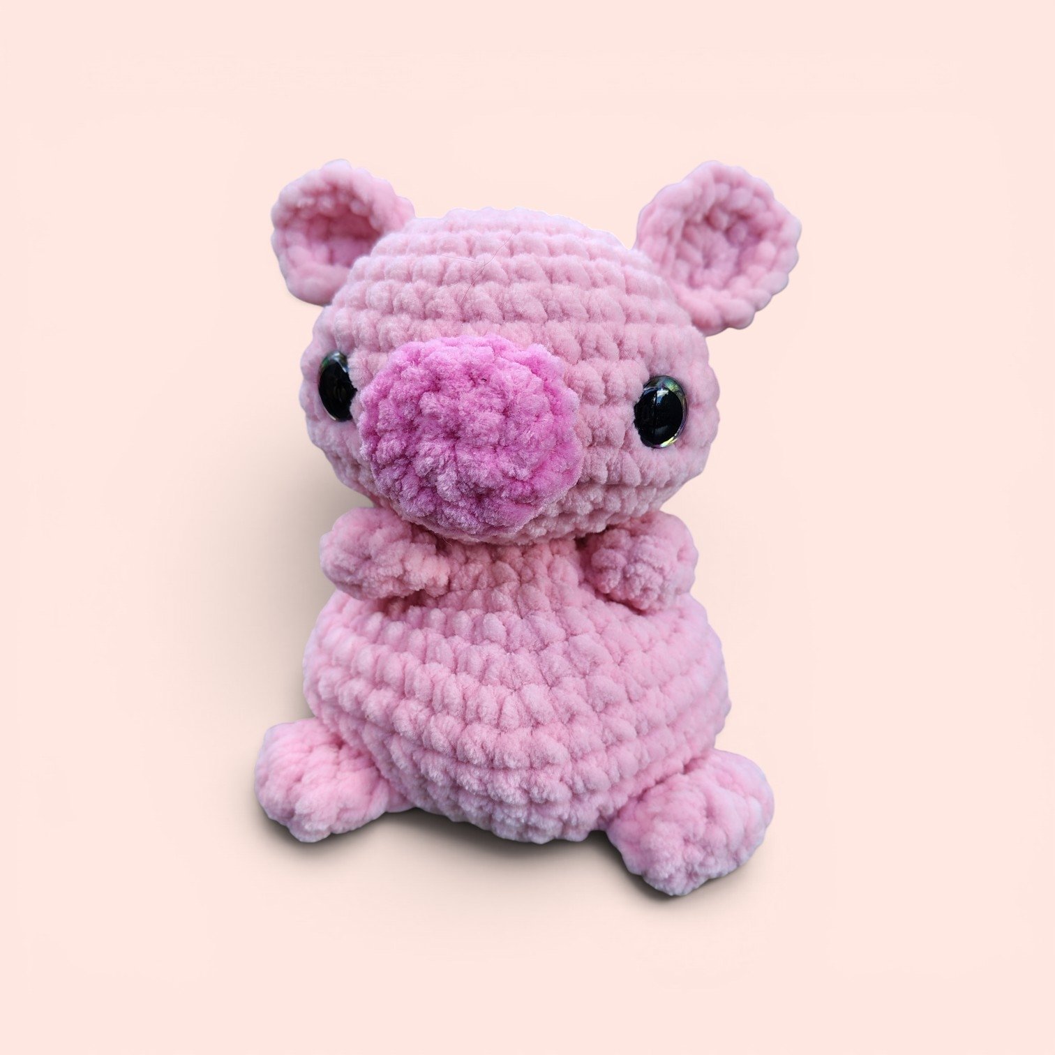 pig 1.jpg