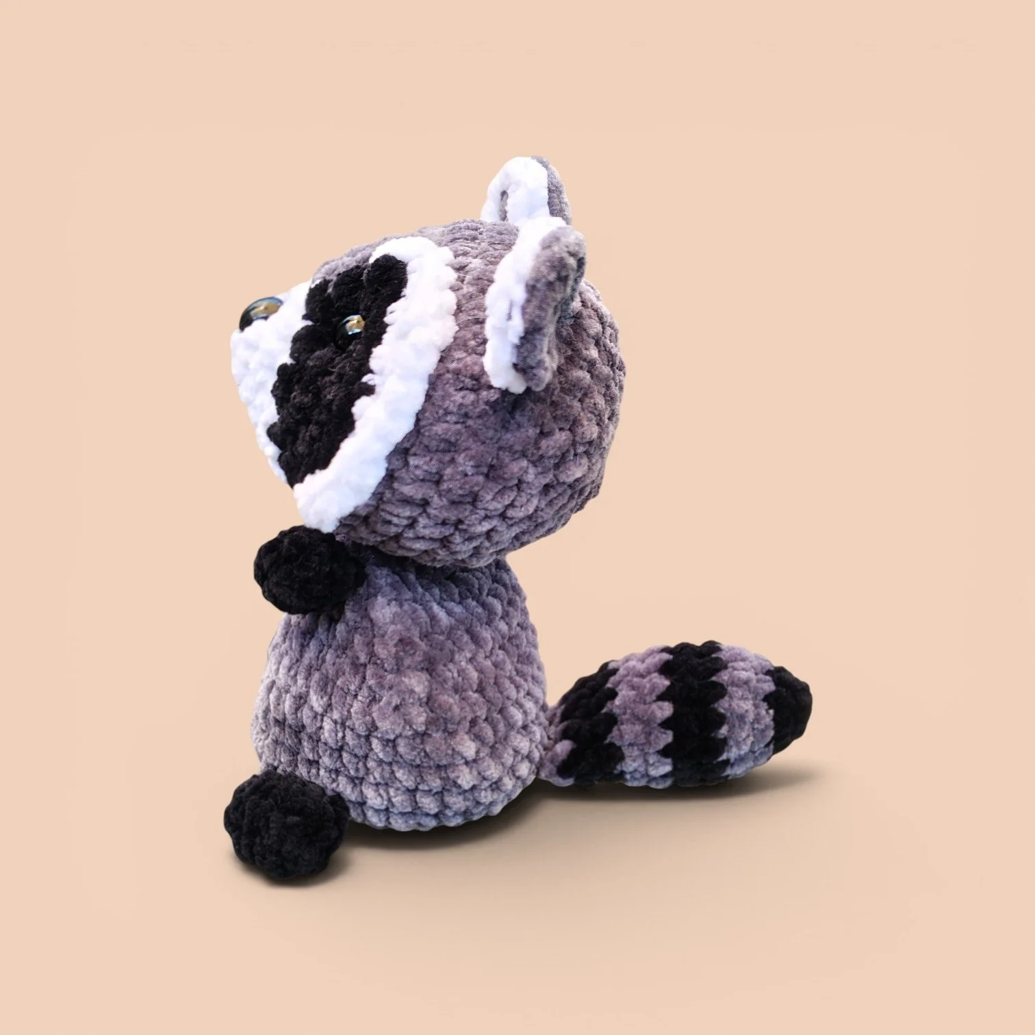 raccoon 2.jpg