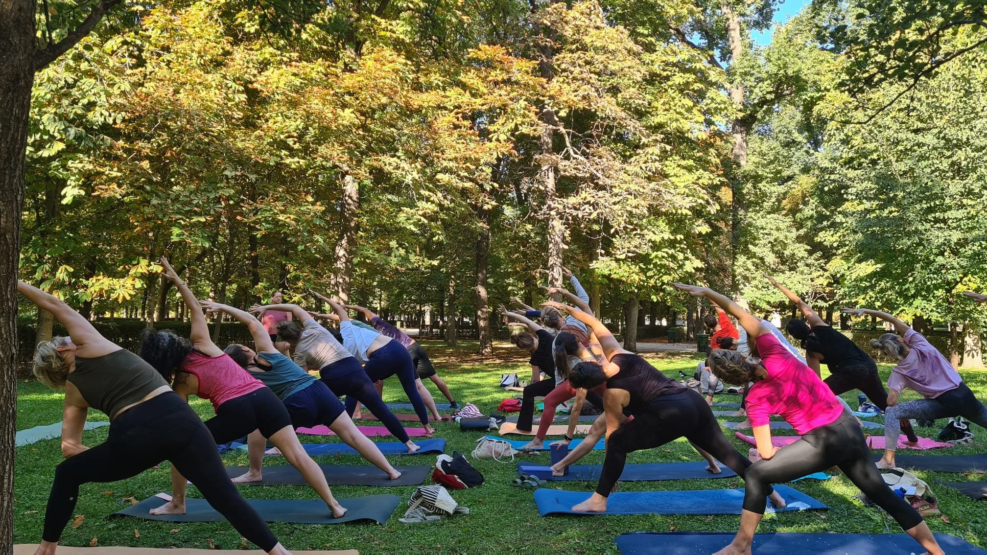 Why Our English Yoga Classes in Madrid Aren't Free