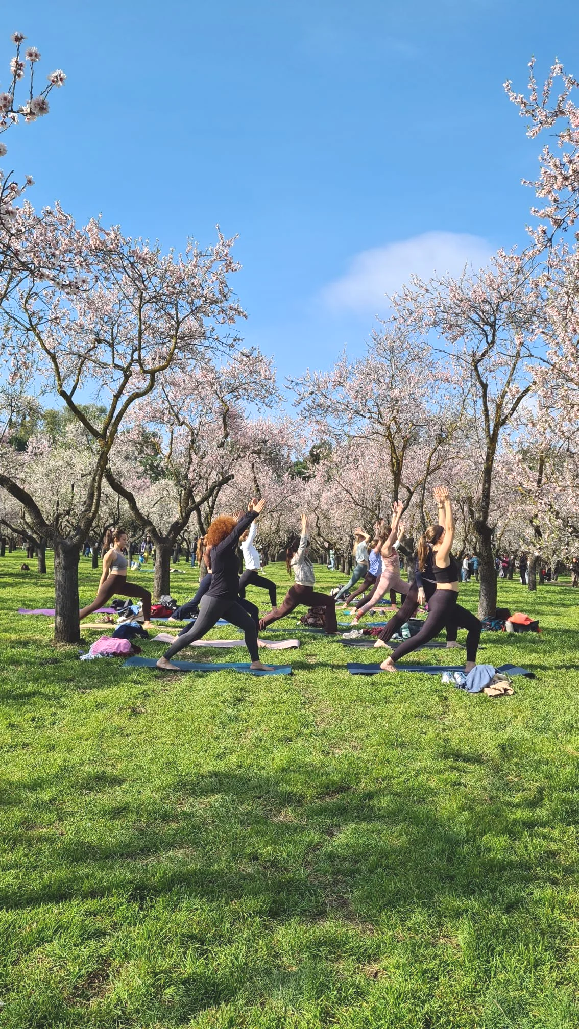 International community of friends in Madrid practicing yoga outdoors