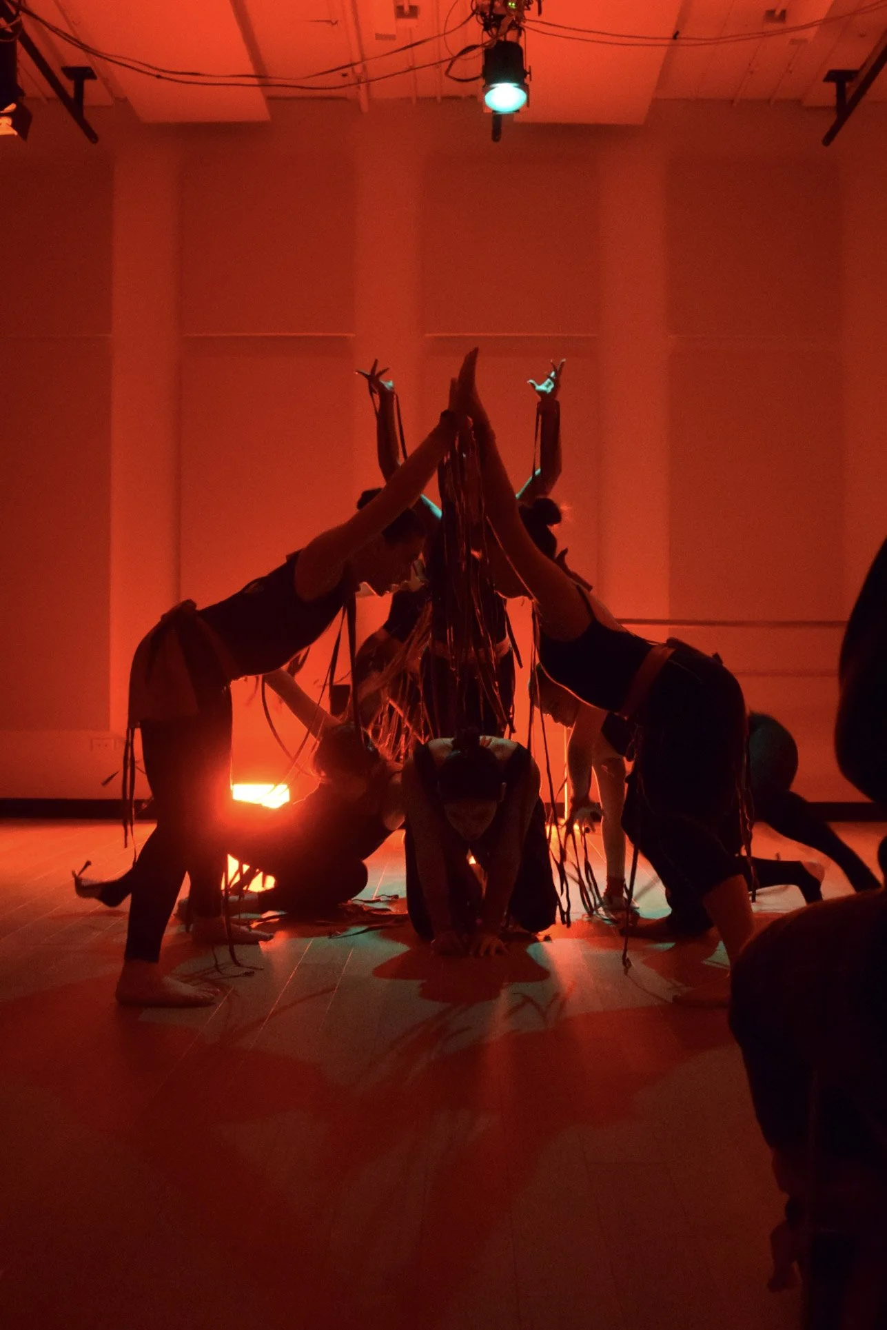 Direction & Sound Design: Suspiria