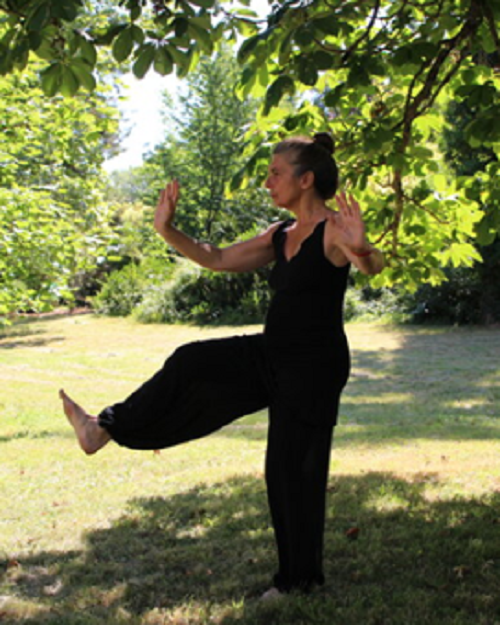Woman practicing yoga outdoors under a tree in a grassy park.