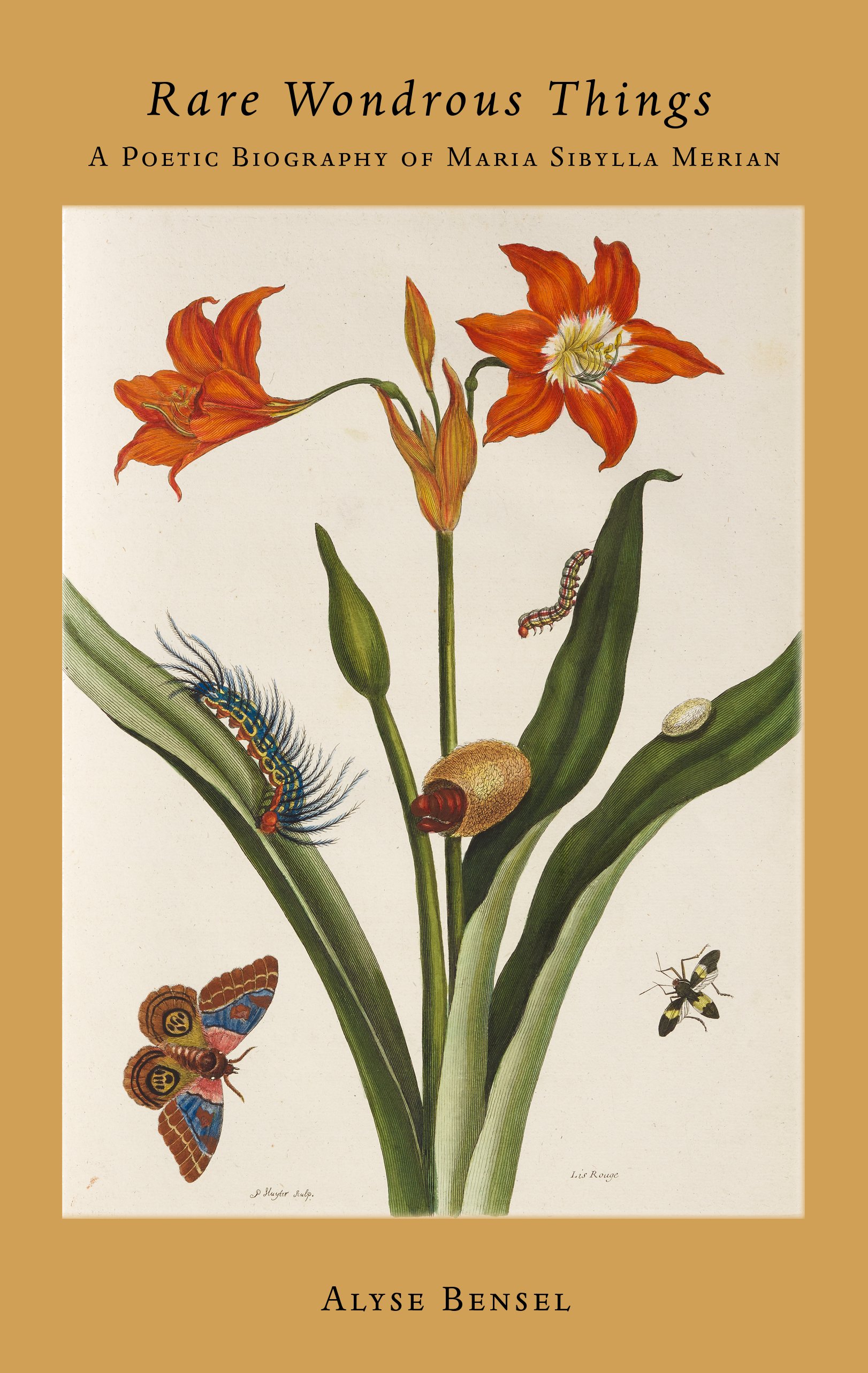 Book cover titled 'Rare Wondrous Things: A Poetic Biography of Maria Sibylla Merian' by Alyse Bensel, featuring an illustration of a flowering plant with various insects including a caterpillar, butterflies, and a fly.