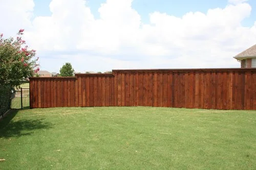 A backyard with a green lawn, a tall wooden privacy fence, a tree with pink blossoms on the left, and a house partially visible on the right.