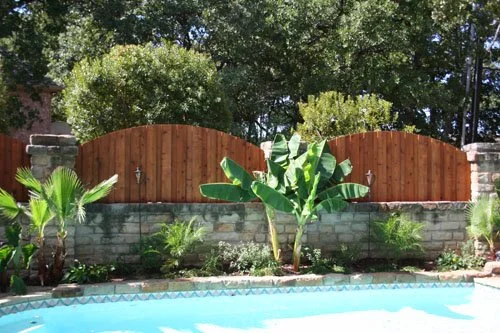 Backyard with swimming pool, wooden fence, lush green trees, and tropical plants.