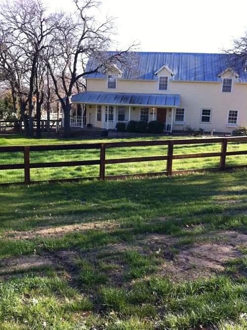 A two-story yellow house with a blue metal roof, surrounded by bare trees and a green lawn, with a wooden fence in the foreground.