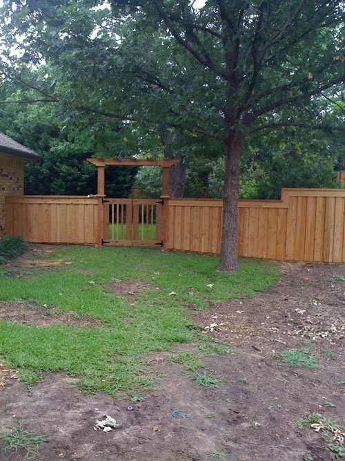 A backyard with a new wooden fence, gate, and a large tree, with some grass and dirt patches.
