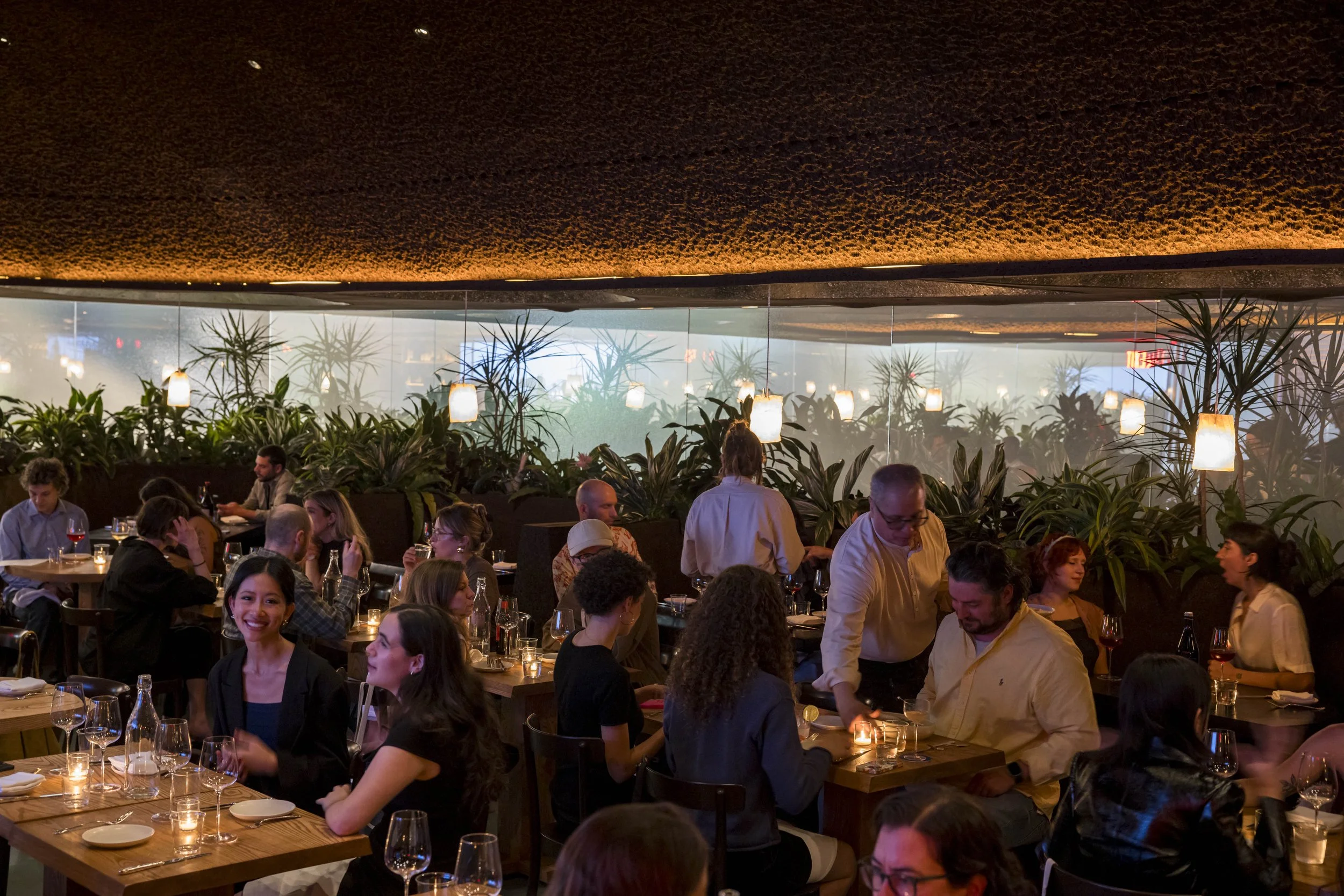 Oberon filled many people sitting at tables, engaged in conversations, with plants and hanging lights creating a warm ambiance.