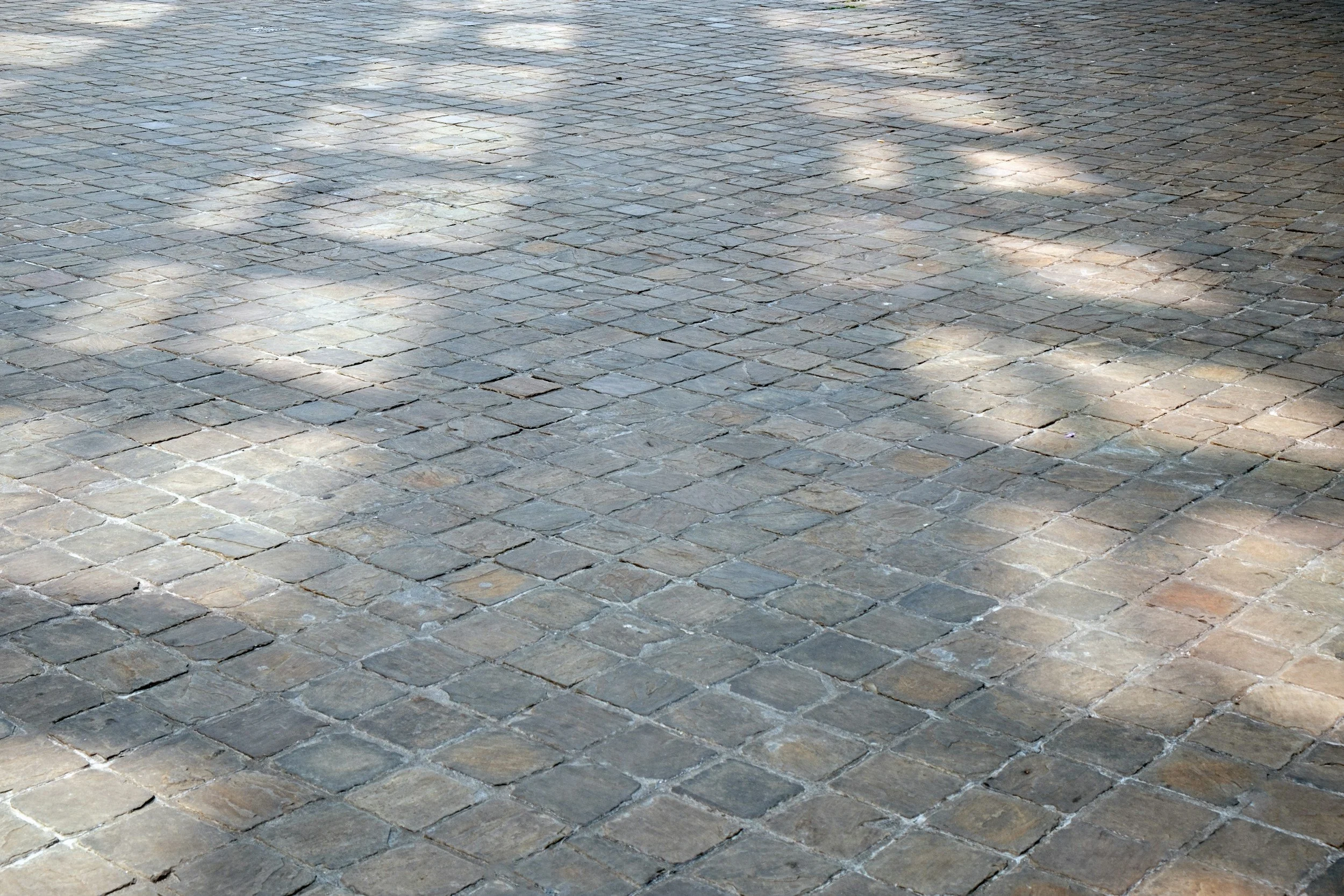 Pavage en pierres carrées avec des ombres de feuilles projetées dessus.