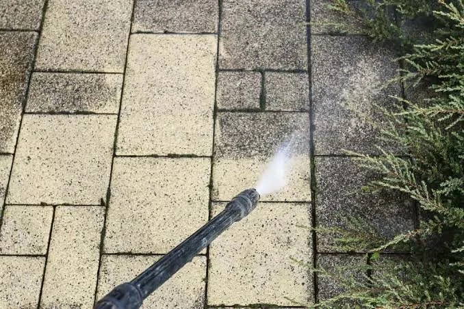 Jet d'eau pulvérisé sur un pavé en pierre avec des plantes vertes sur le côté droit.